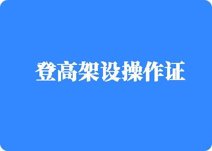 大骚逼逼做爱网站登高架设操作证